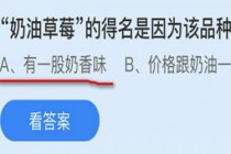 奶油草莓的得名是因为该品种的草莓?蚂蚁庄园9.29奶油草莓答案(奶油草莓得名是因为)