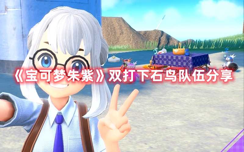 《宝可梦朱紫》双打下石鸟队伍分享(宝可梦朱紫双斧战龙)