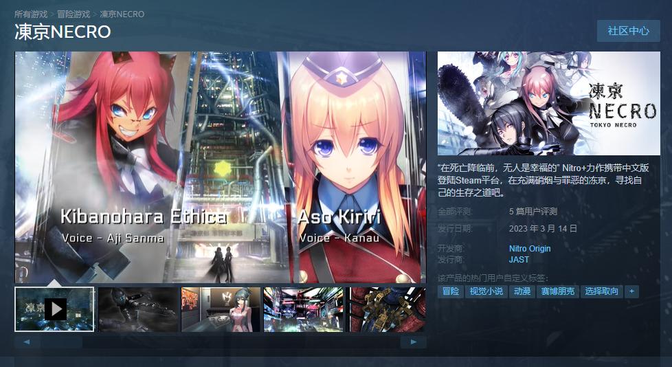 视觉小说《冻京NECRO》Steam版正式发售 支持中文(做视觉小说用什么软件)