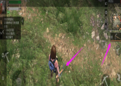 明日之后怎么切换空手 空手选择攻略(明日之后怎么切换语言)