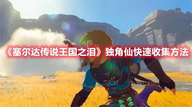 《塞尔达传说王国之泪》独角仙快速收集方法(塞尔达传说王国之泪有dlc吗)