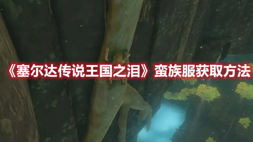 《塞尔达传说王国之泪》蛮族服获取方法(塞尔达传说王国之泪价格)