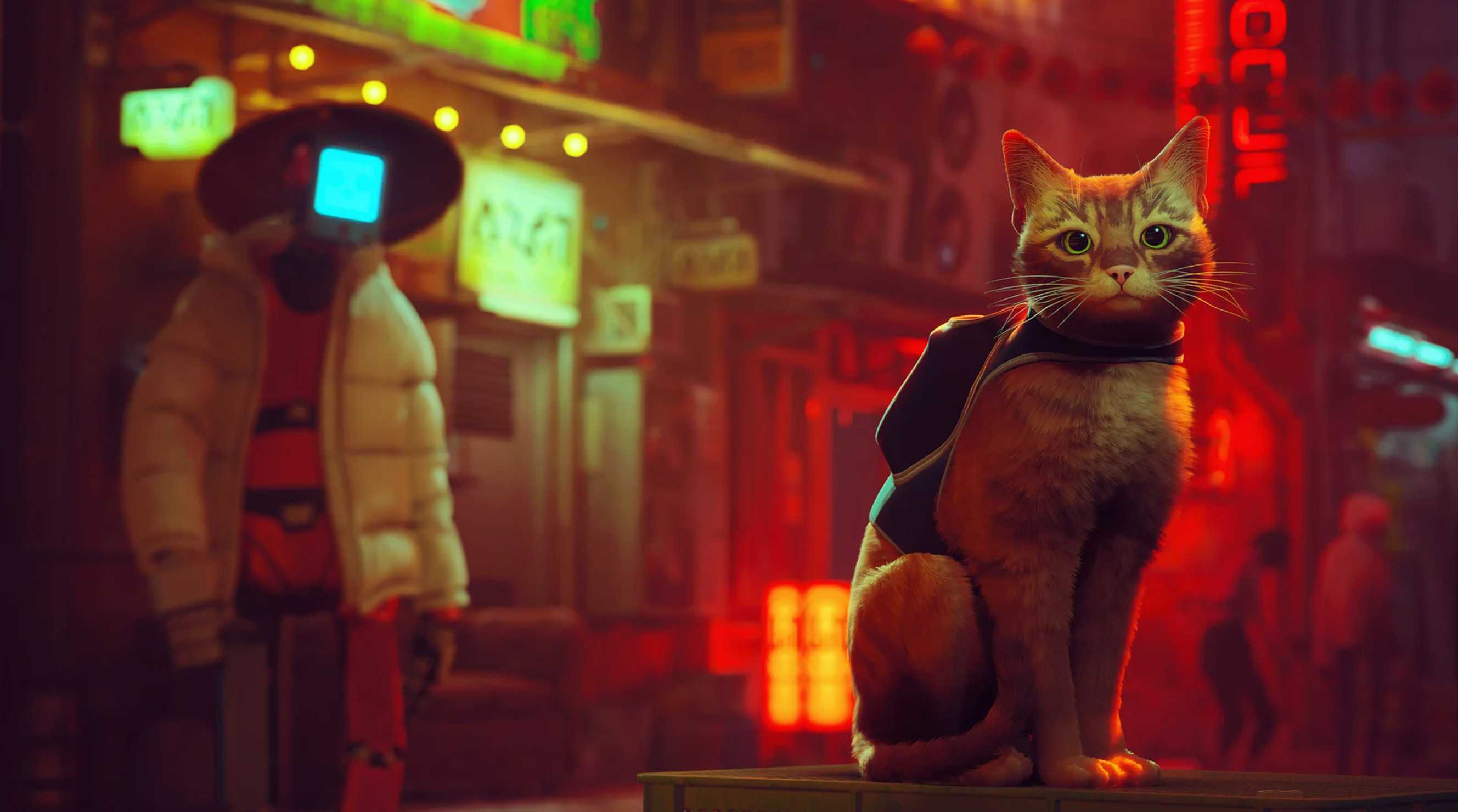 好评冒险游戏《迷失》Xbox版要来了 分级已完成(迷图冒险游戏)