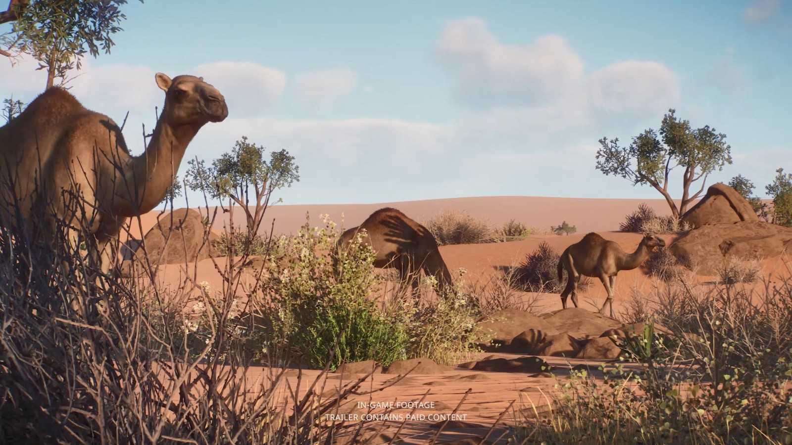 《动物园之星》DLC“干燥气候区动物包”发售 定价53元(动物园之星单向玻璃怎么换方向)