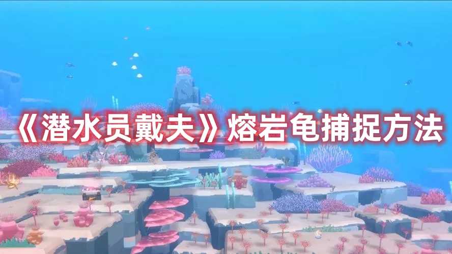 《潜水员戴夫》熔岩龟捕捉方法(《潜水员戴夫》正式版预告)