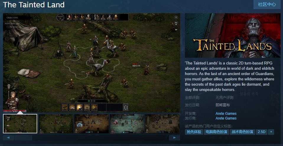 2D回合制RPG《TheTaintedLand》Steam页面不支持中文(2D回合制手游源码)