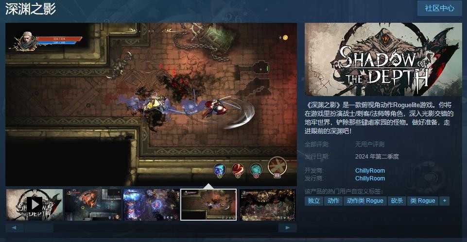俯视角动作Roguelite游戏《深渊之影》Steam页面上线支持简体中文(俯视角动作游戏)