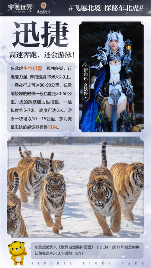 完美世界手游岁末大版本正式上线 超凶虎妹来袭