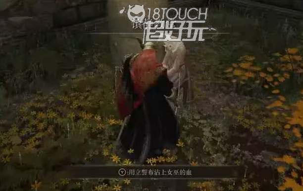 艾尔登法环白面具支线任务流程详解