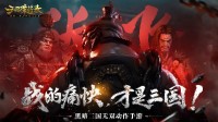 网易《三国诛将录》今日停运 营运时间仅7个月(三国诛将录官网)