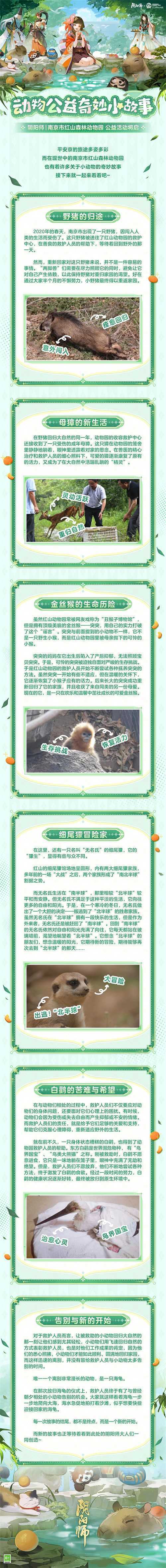 《阴阳师》守护的契约·野生动物守护计划启动，公益讲堂放映中！