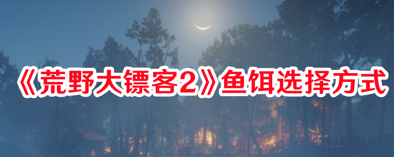 《荒野大镖客2》鱼饵选择方式(荒野大镖客2在steam叫什么)