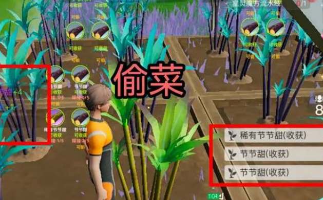 创造吧我们的星球植物种植嫁接攻略(创造吧我们的星球)