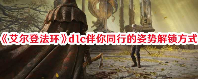 《艾尔登法环》dlc伴你同行的姿势解锁方式(艾尔登法环祷言怎么释放)