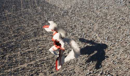 《女巨人游乐场》官方新截图：白丝狐妖随心动(女巨人)