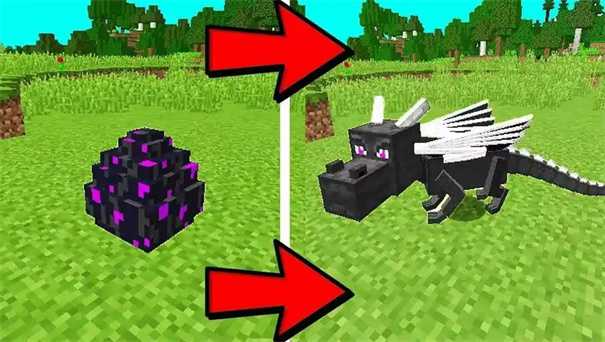 我的世界末影龙蛋怎么孵化 我的世界末影龙蛋有什么用可以孵化吗